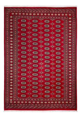 Afghan Rug - Bukhara - 297 x 213 cm - red