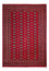 Afghan Rug - Bukhara - 297 x 213 cm - red