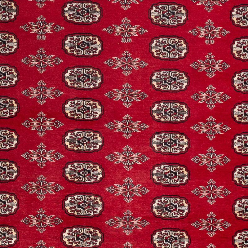 Afghan Rug - Bukhara - 297 x 213 cm - red