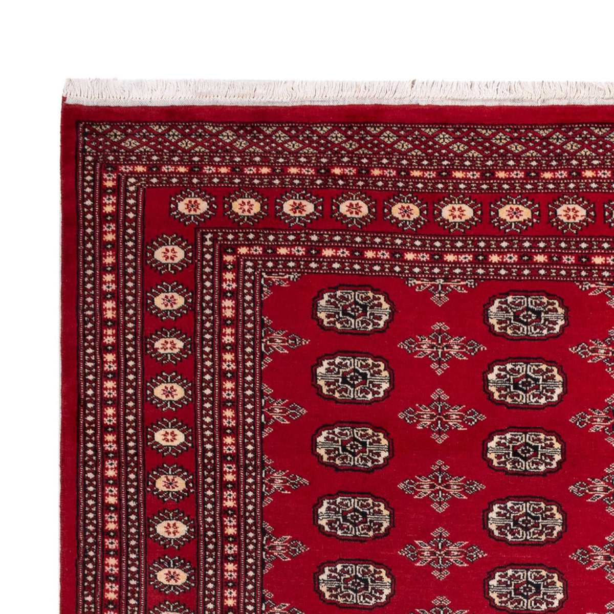 Bukhara Rug 213x297cm - Oriental Rug