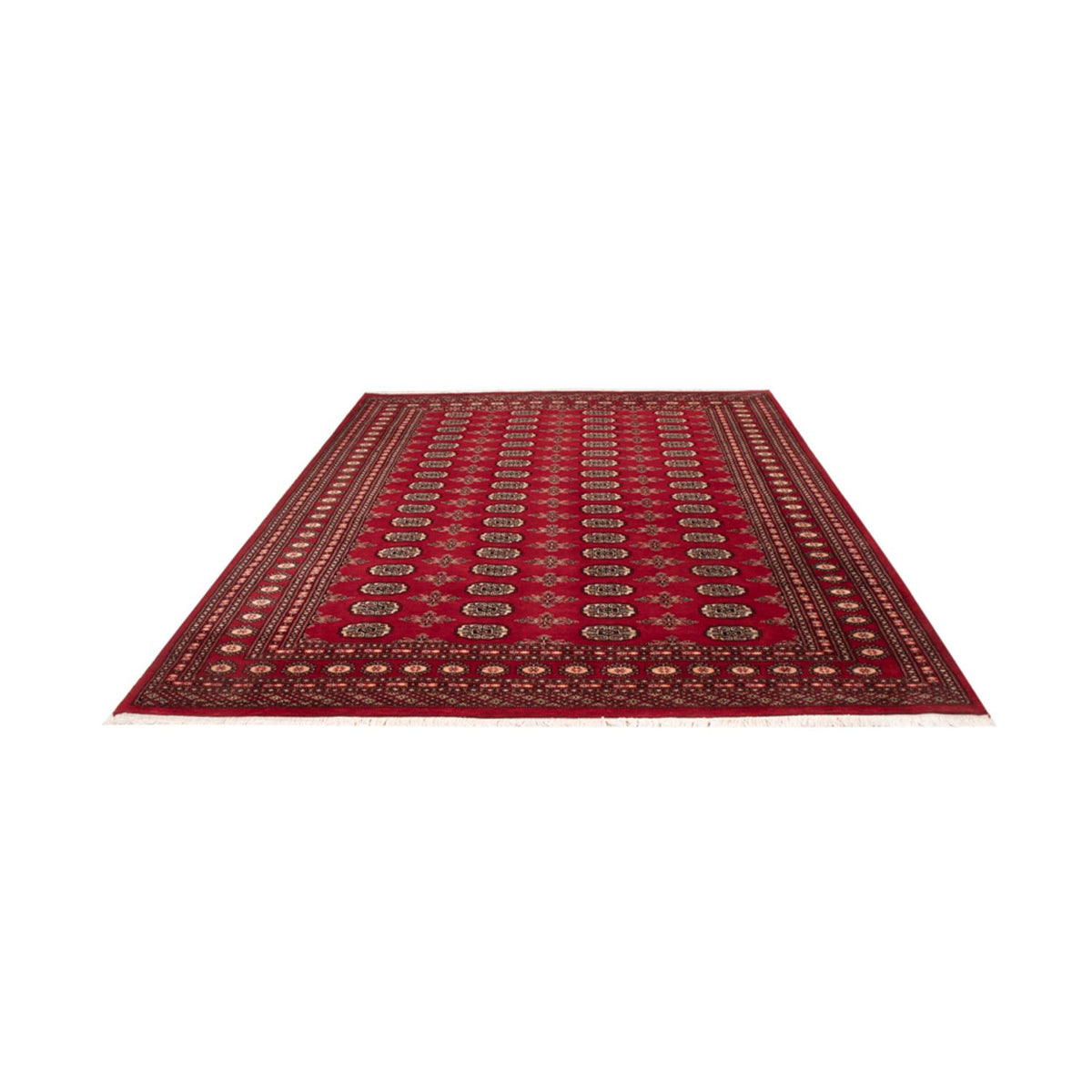 Afghan Rug - Bukhara - 297 x 213 cm - red