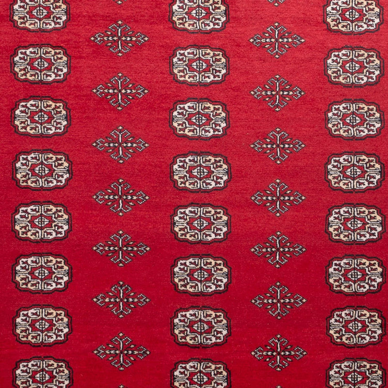 Afghan Rug - Bukhara - 306 x 197 cm - red