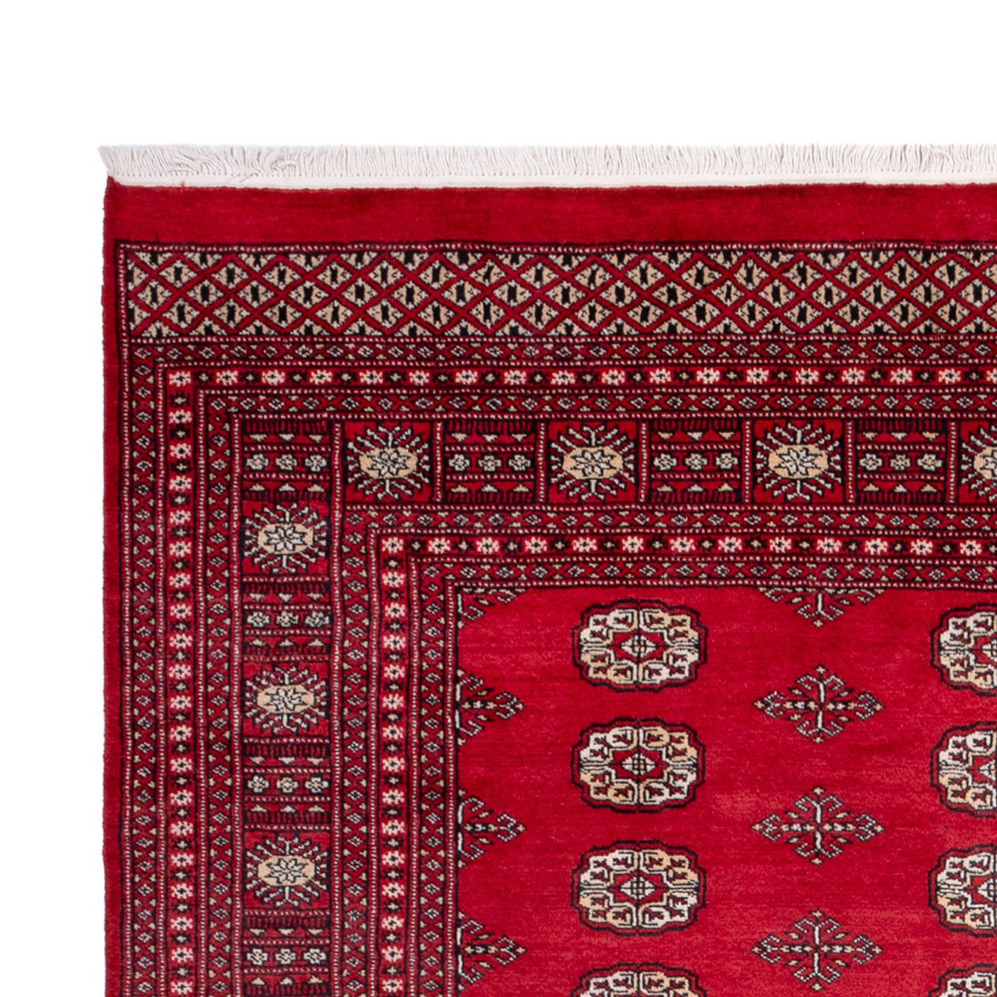 Bukhara Rug 306x197cm - Oriental Rug