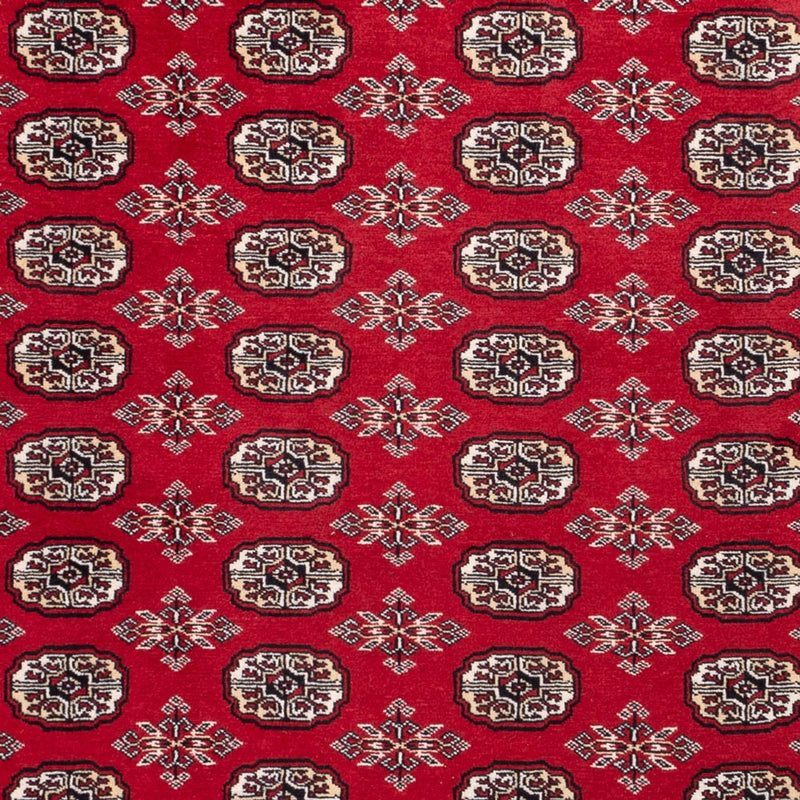 Afghan Rug - Bukhara - 302 x 199 cm - red