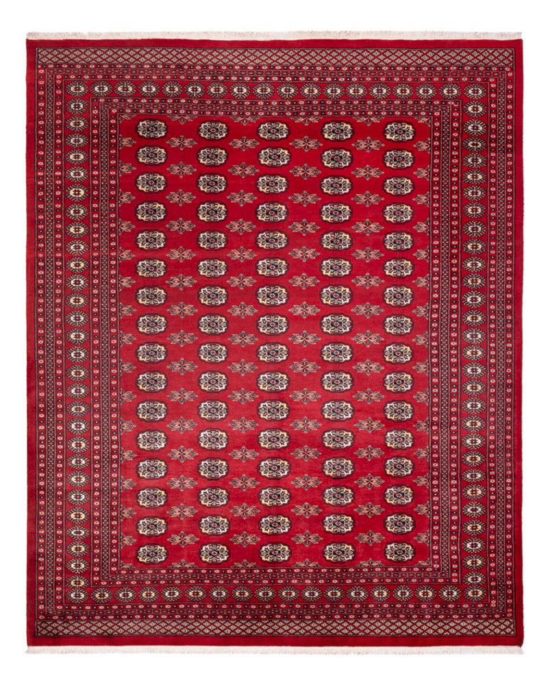 Afghan Rug - Bukhara - 307 x 247 cm - red