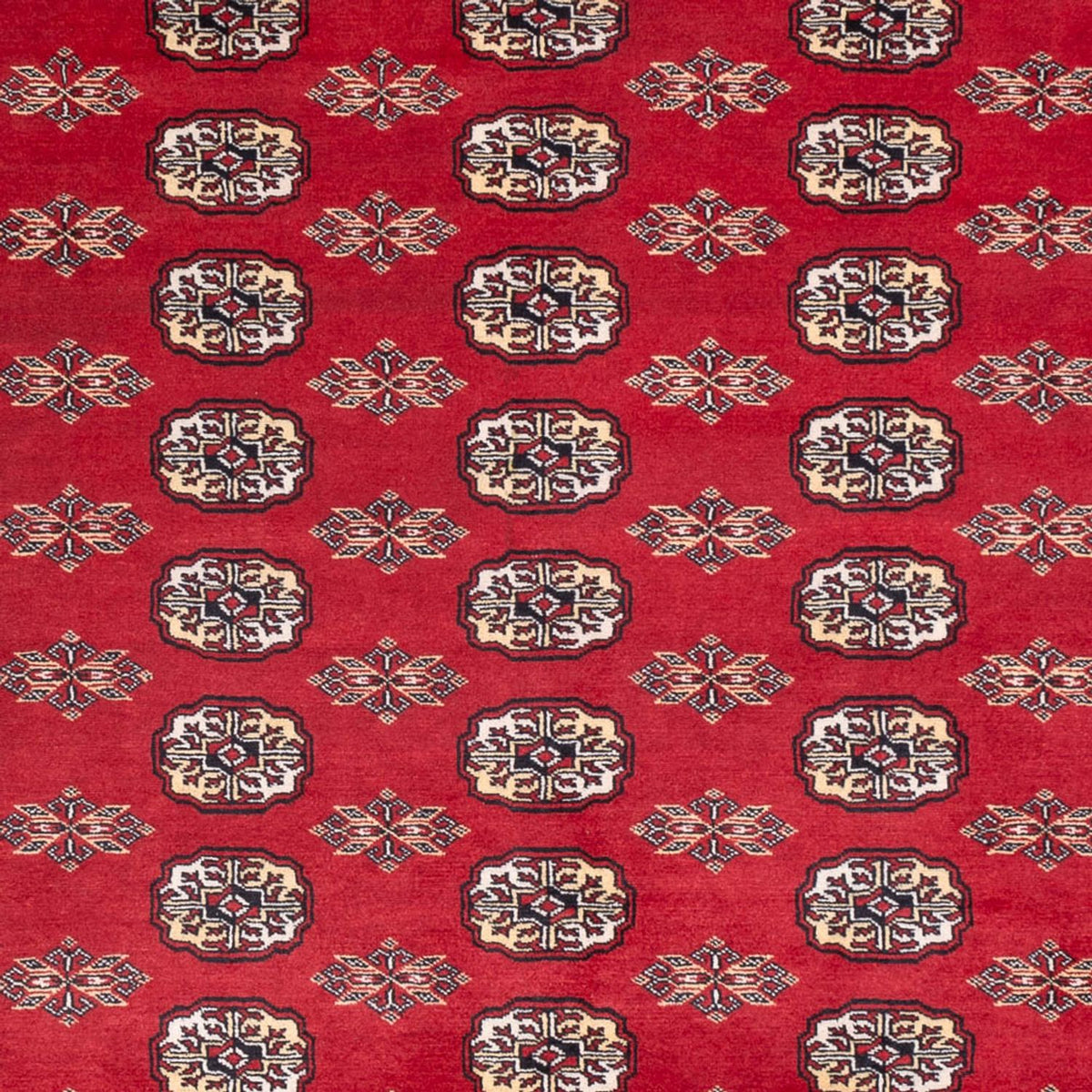 Afghan Rug - Bukhara - 307 x 247 cm - red