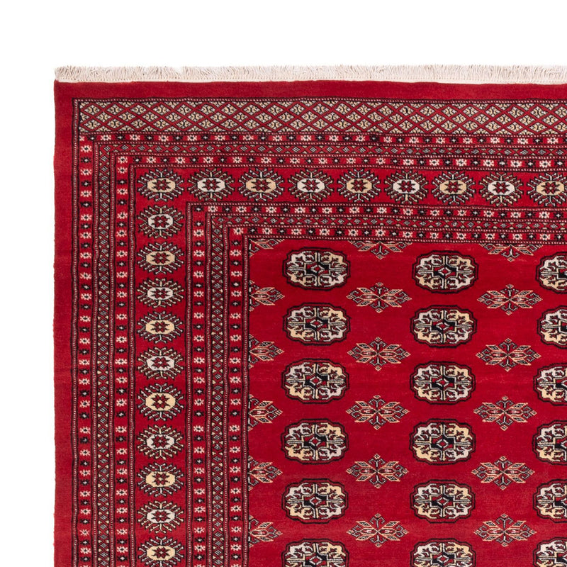Afghan Rug - Bukhara - 307 x 247 cm - red