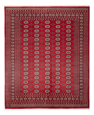 Afghan Rug - Bukhara - 298 x 243 cm - red