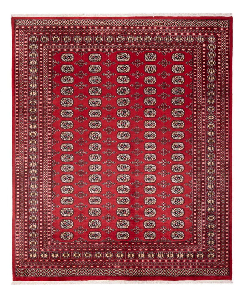 Afghan Rug - Bukhara - 298 x 243 cm - red