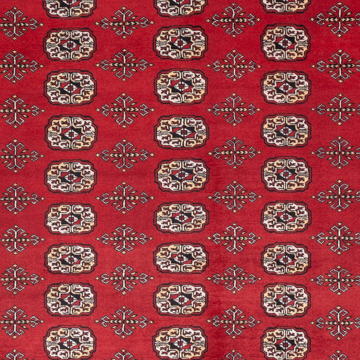 Afghan Rug - Bukhara - 298 x 243 cm - red