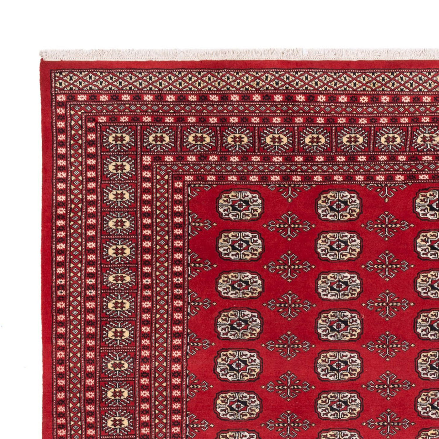 Bukhara Rug 298x243cm - Oriental Rug