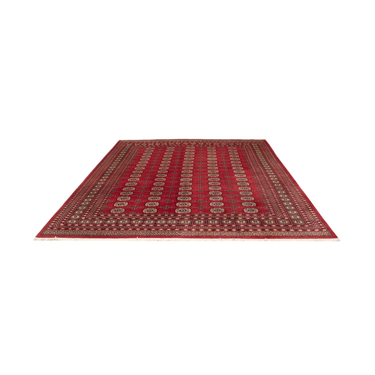 Afghan Rug - Bukhara - 298 x 243 cm - red