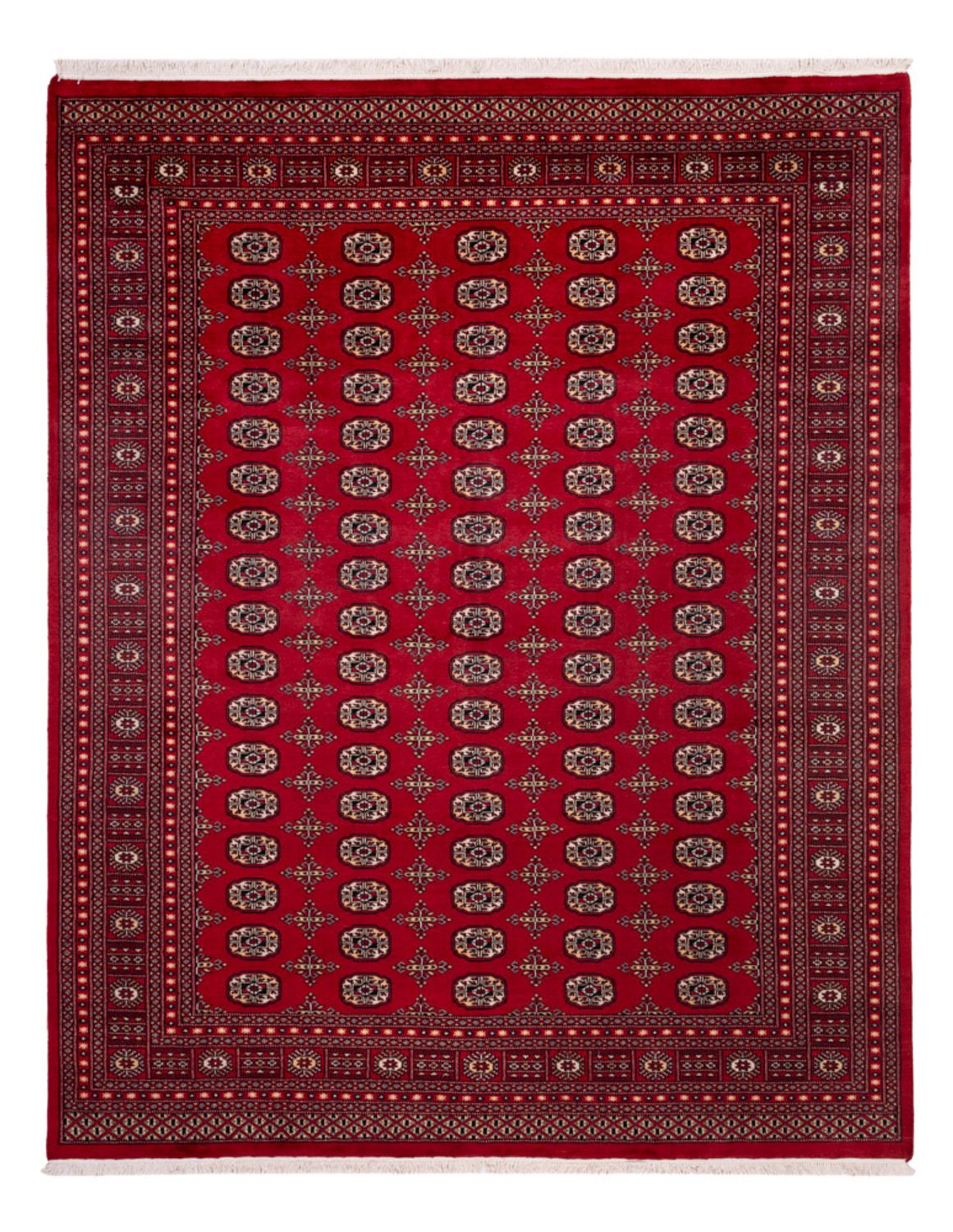 Afghan Rug - Bukhara - 308 x 243 cm - red