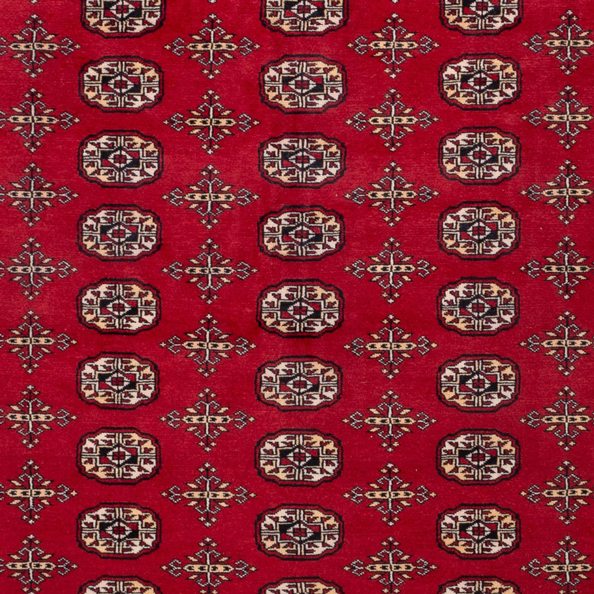 Afghan Rug - Bukhara - 308 x 243 cm - red