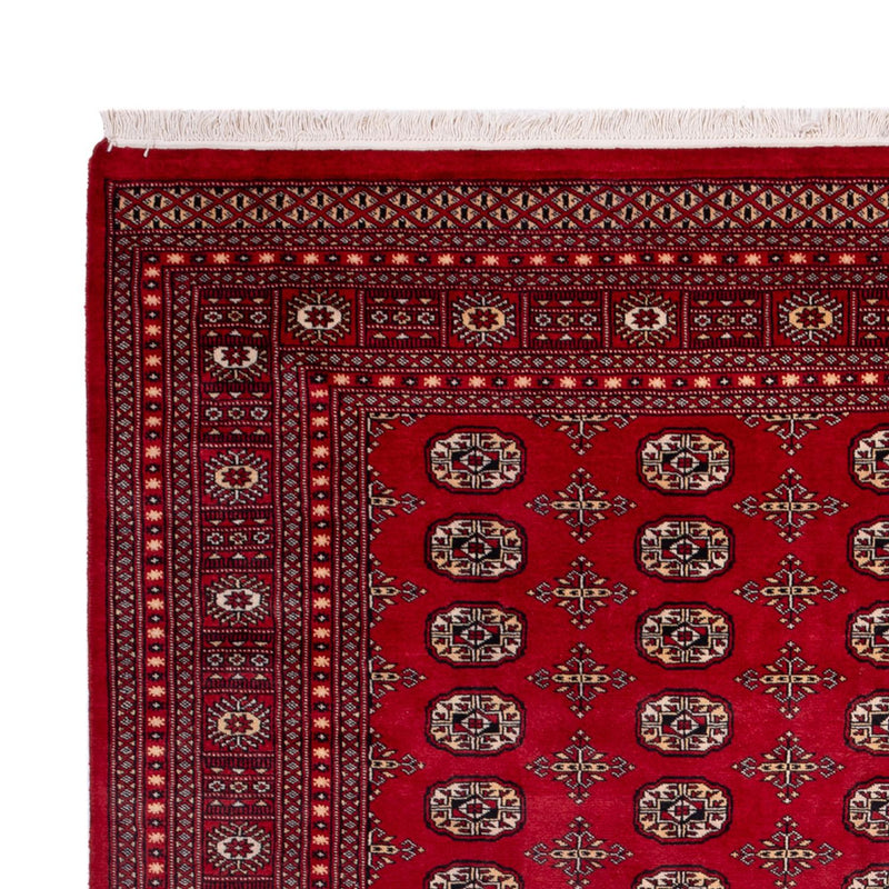 Afghan Rug - Bukhara - 308 x 243 cm - red