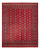 Bukhara Rug 312x244cm - Oriental Rug