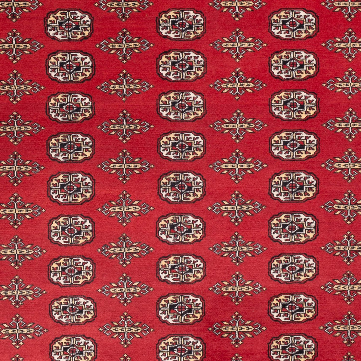 Afghan Rug - Bukhara - 312 x 244 cm - red