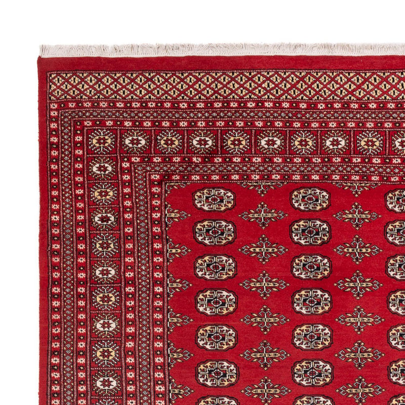Afghan Rug - Bukhara - 312 x 244 cm - red