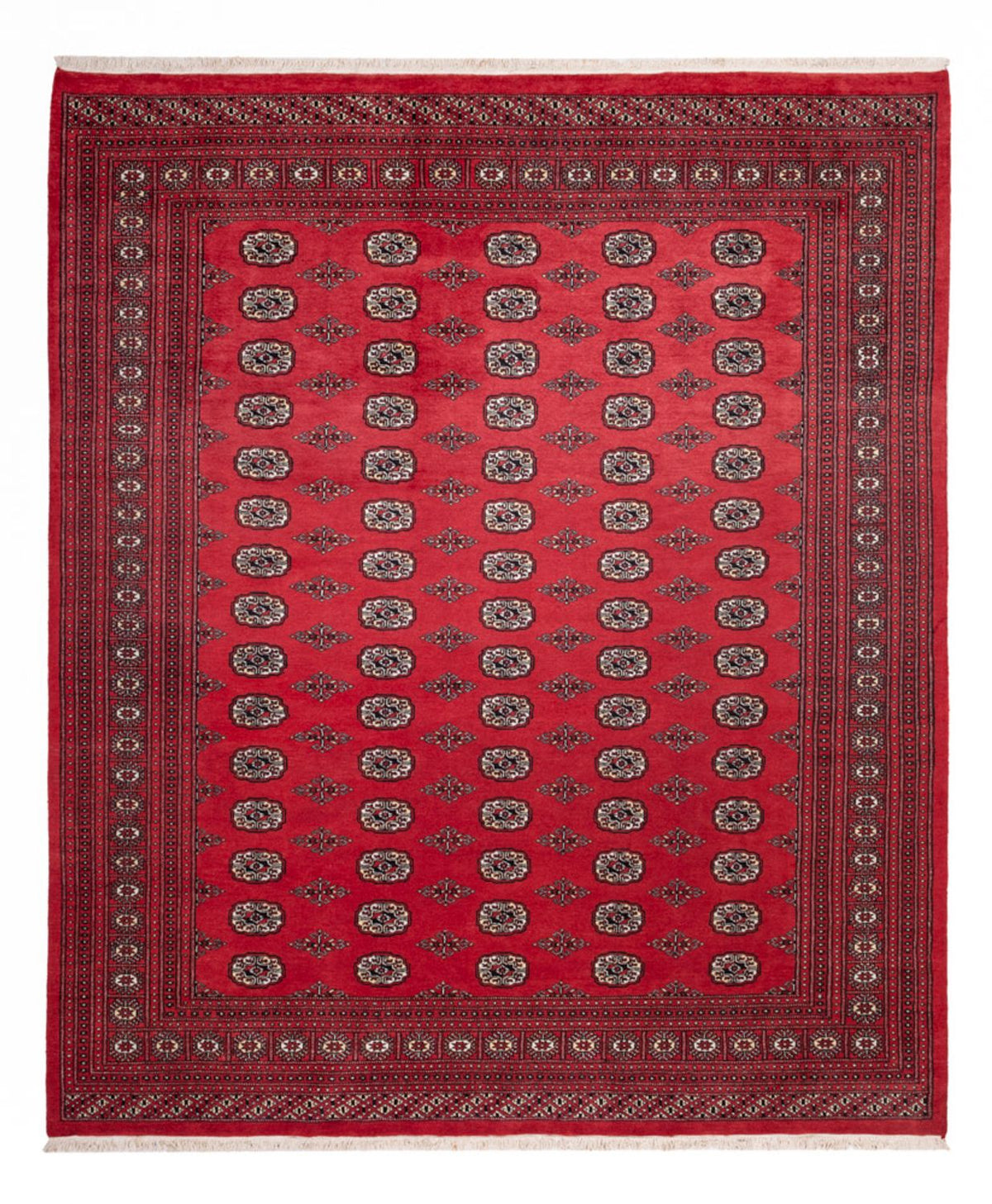 Afghan Rug - Bukhara - 305 x 246 cm - red