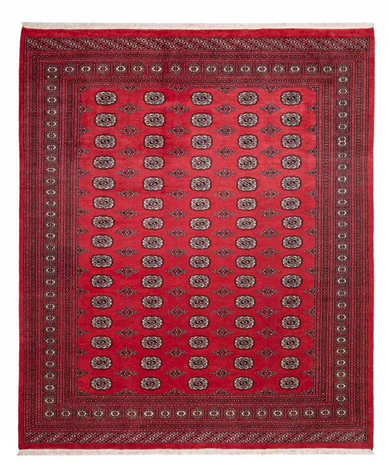 Afghan Rug - Bukhara - 305 x 246 cm - red