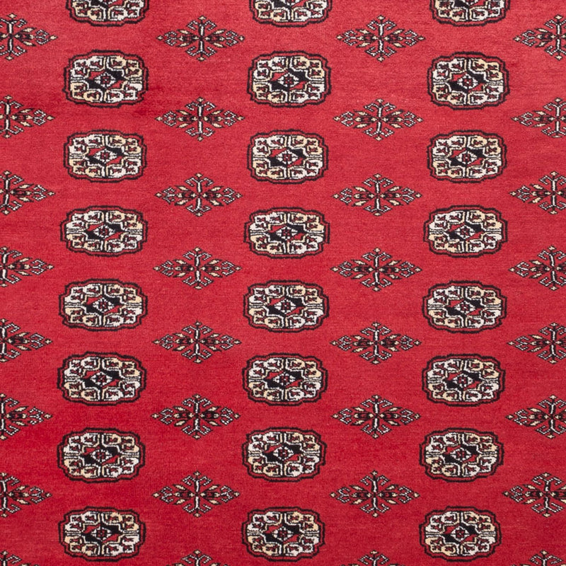 Afghan Rug - Bukhara - 305 x 246 cm - red