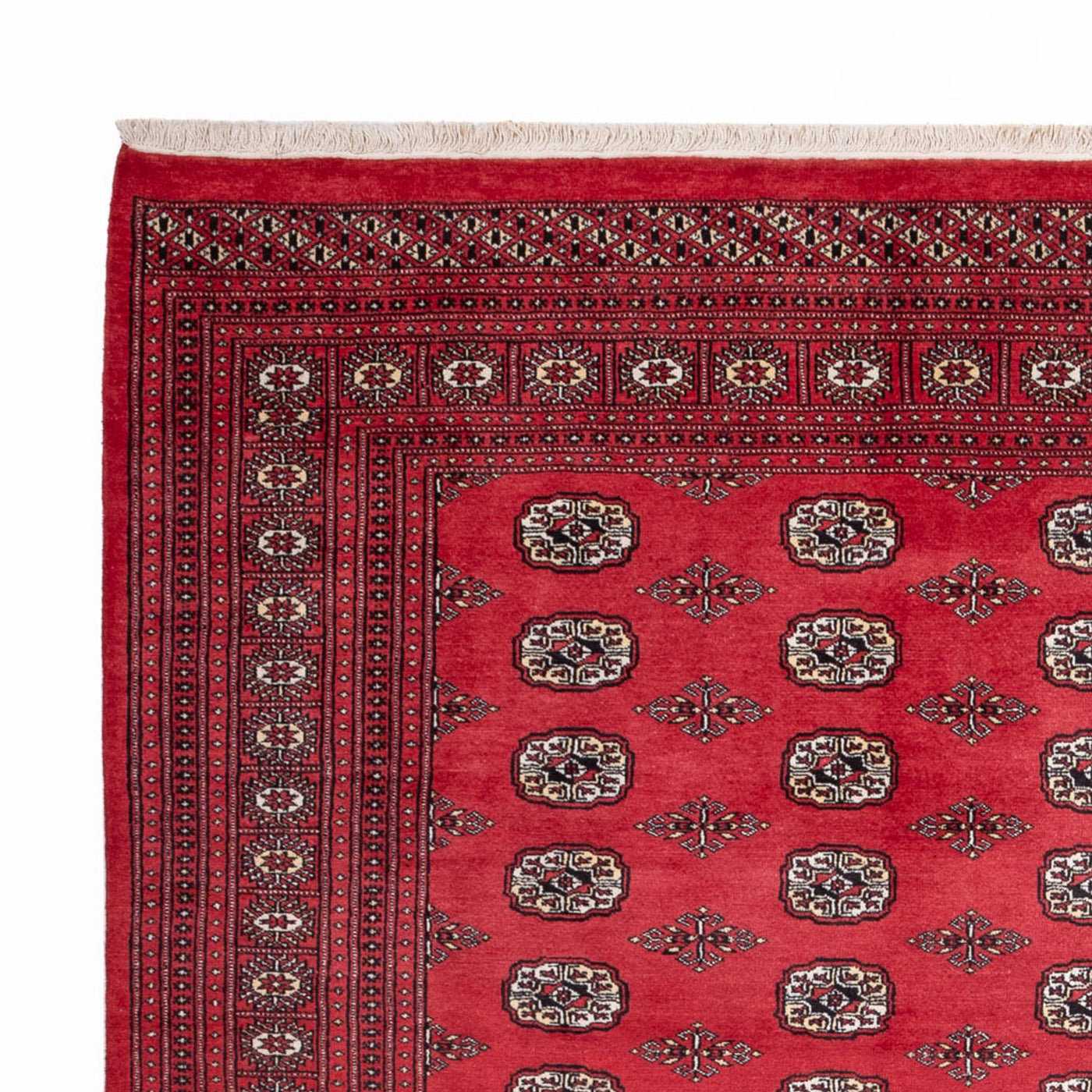 Bukhara Rug 305x246cm - Oriental Rug