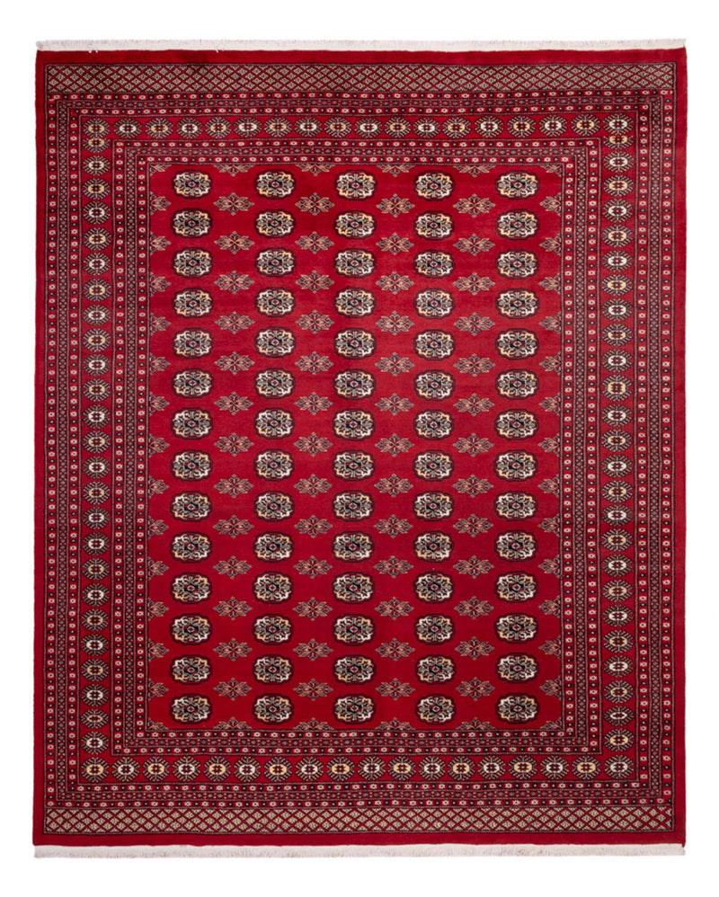 Afghan Rug - Bukhara - 301 x 245 cm - red