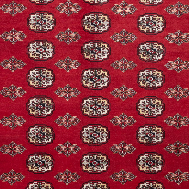 Afghan Rug - Bukhara - 301 x 245 cm - red