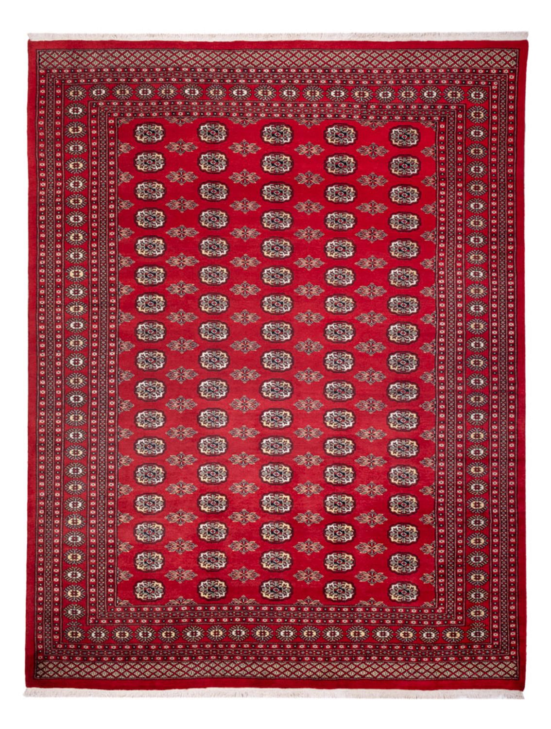 Afghan Rug - Bukhara - 314 x 243 cm - red
