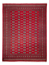Afghan Rug - Bukhara - 314 x 243 cm - red