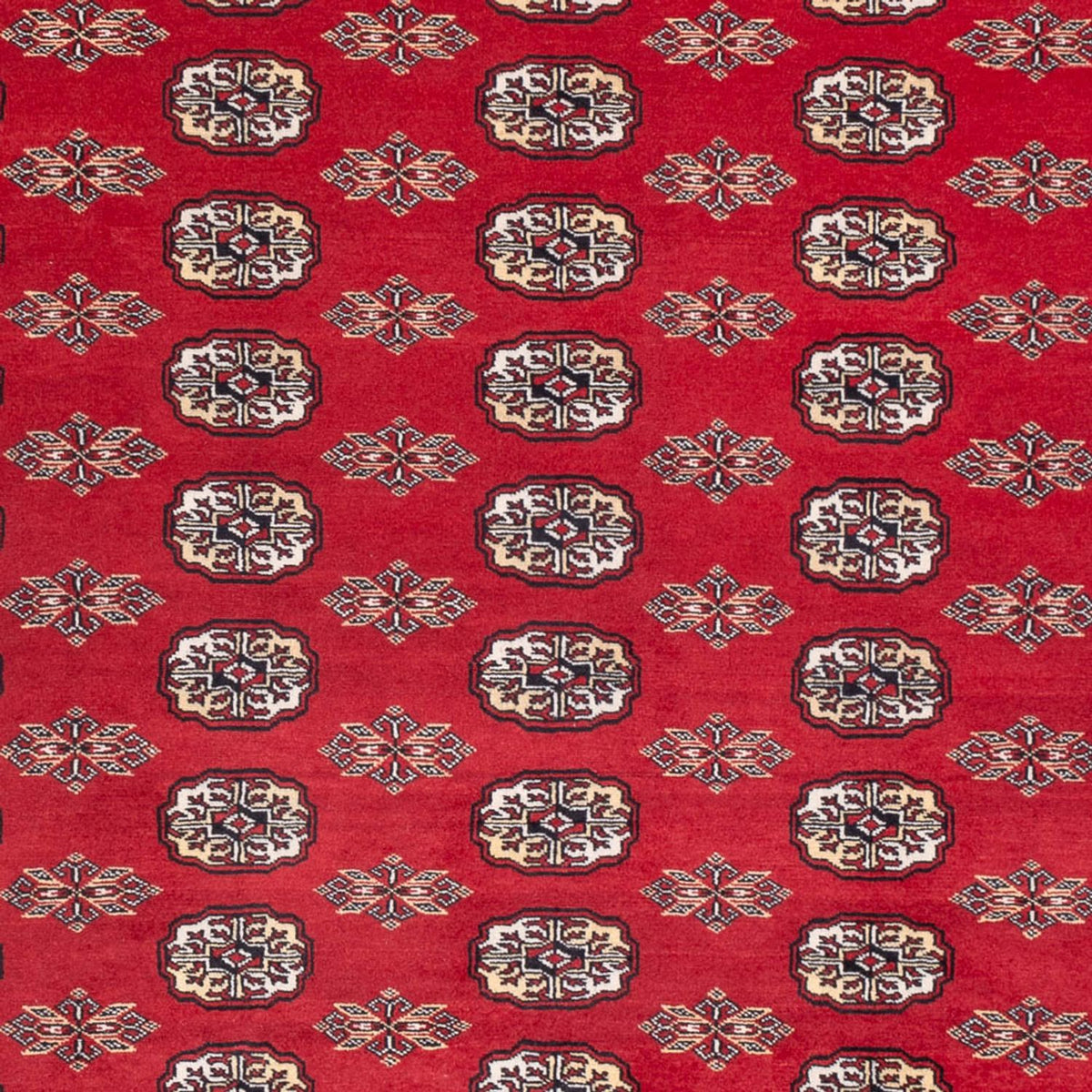 Afghan Rug - Bukhara - 314 x 243 cm - red