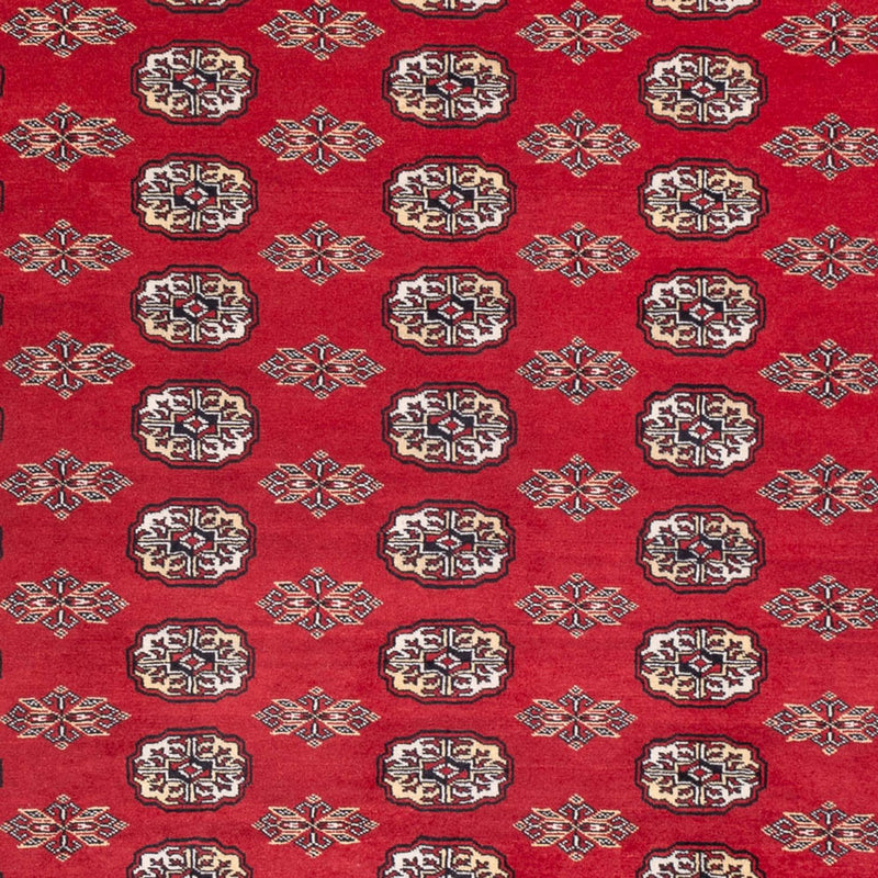 Afghan Rug - Bukhara - 314 x 243 cm - red