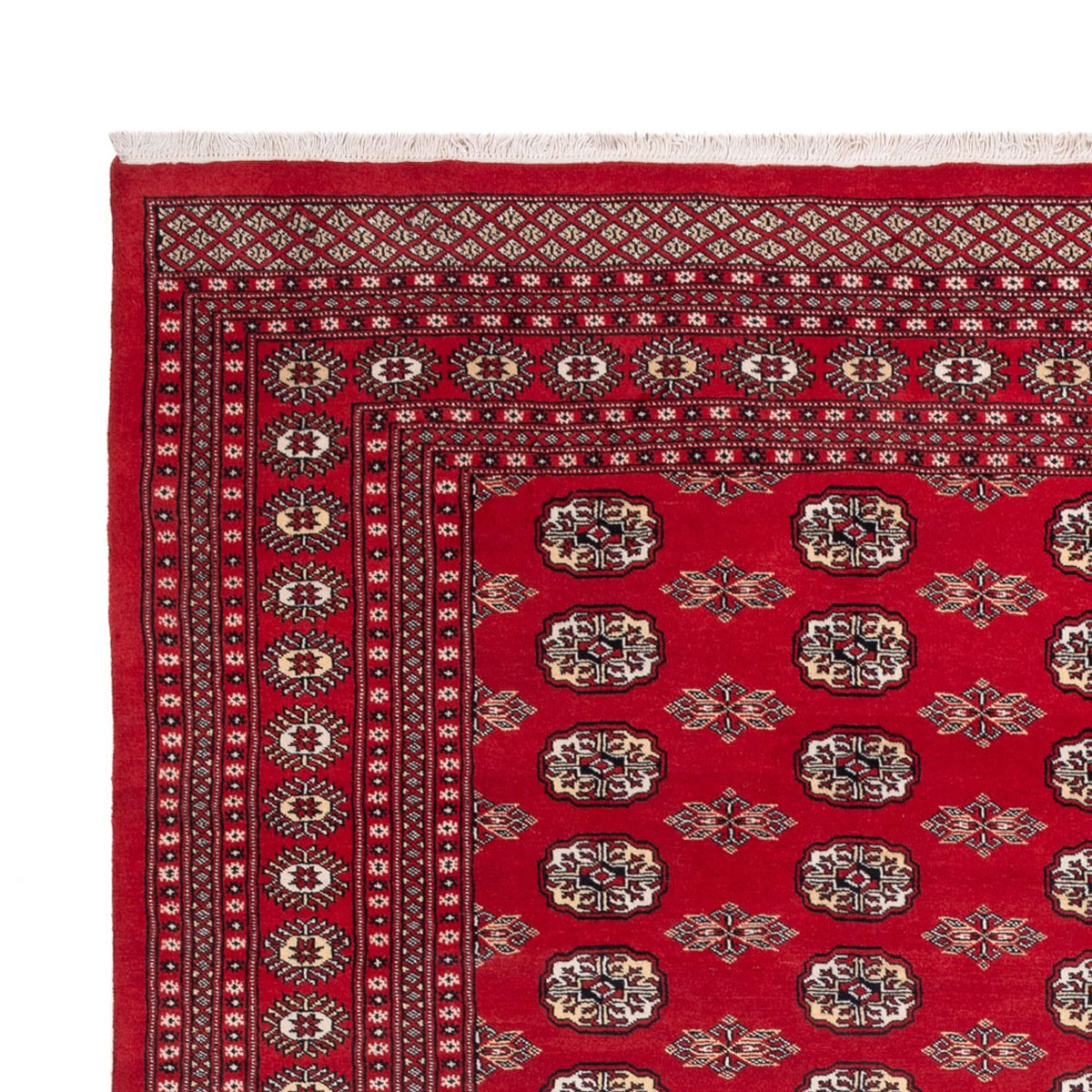 Bukhara Rug 243x314cm - Oriental Rug