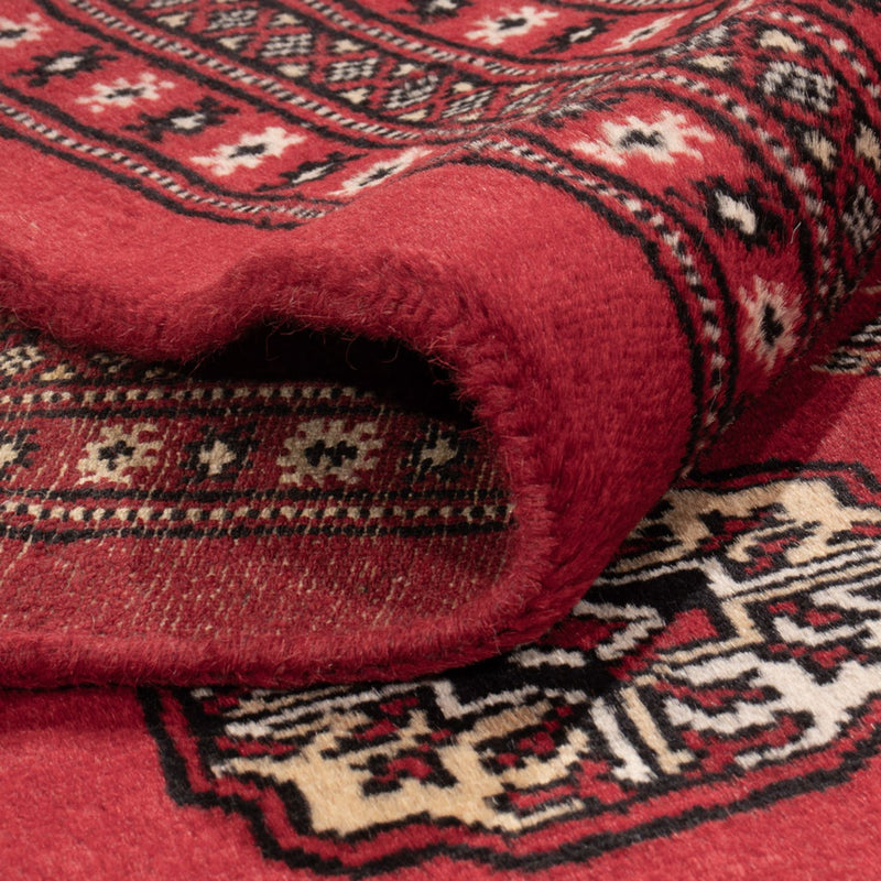 Afghan Rug - Bukhara - 314 x 243 cm - red