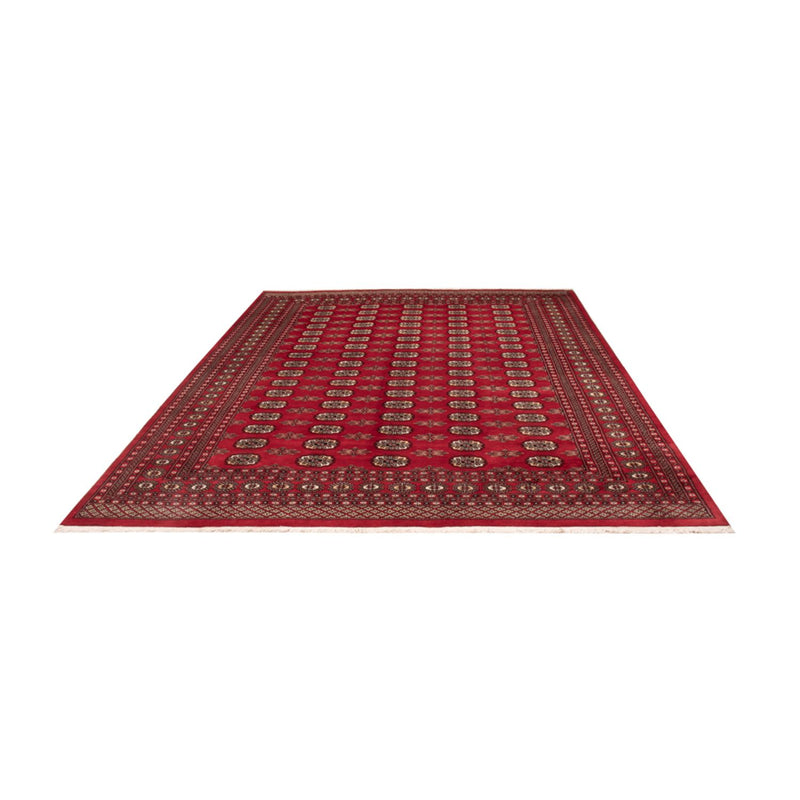 Afghan Rug - Bukhara - 314 x 243 cm - red