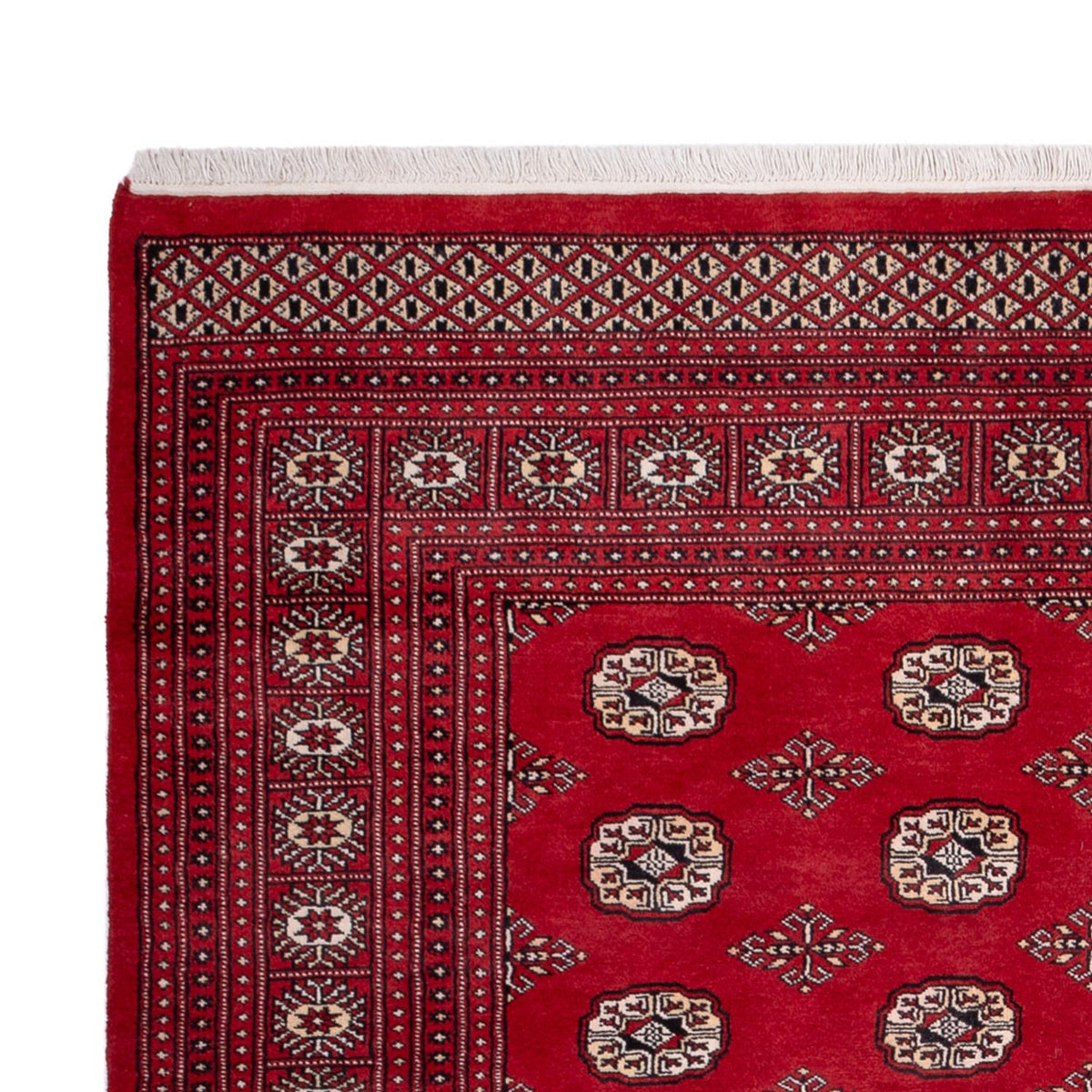 Bukhara Rug 200x290cm - Oriental Rug