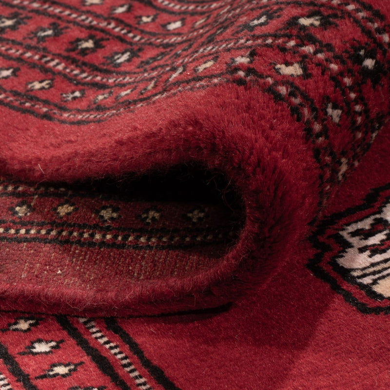 Afghan Rug - Bukhara - 290 x 200 cm - red