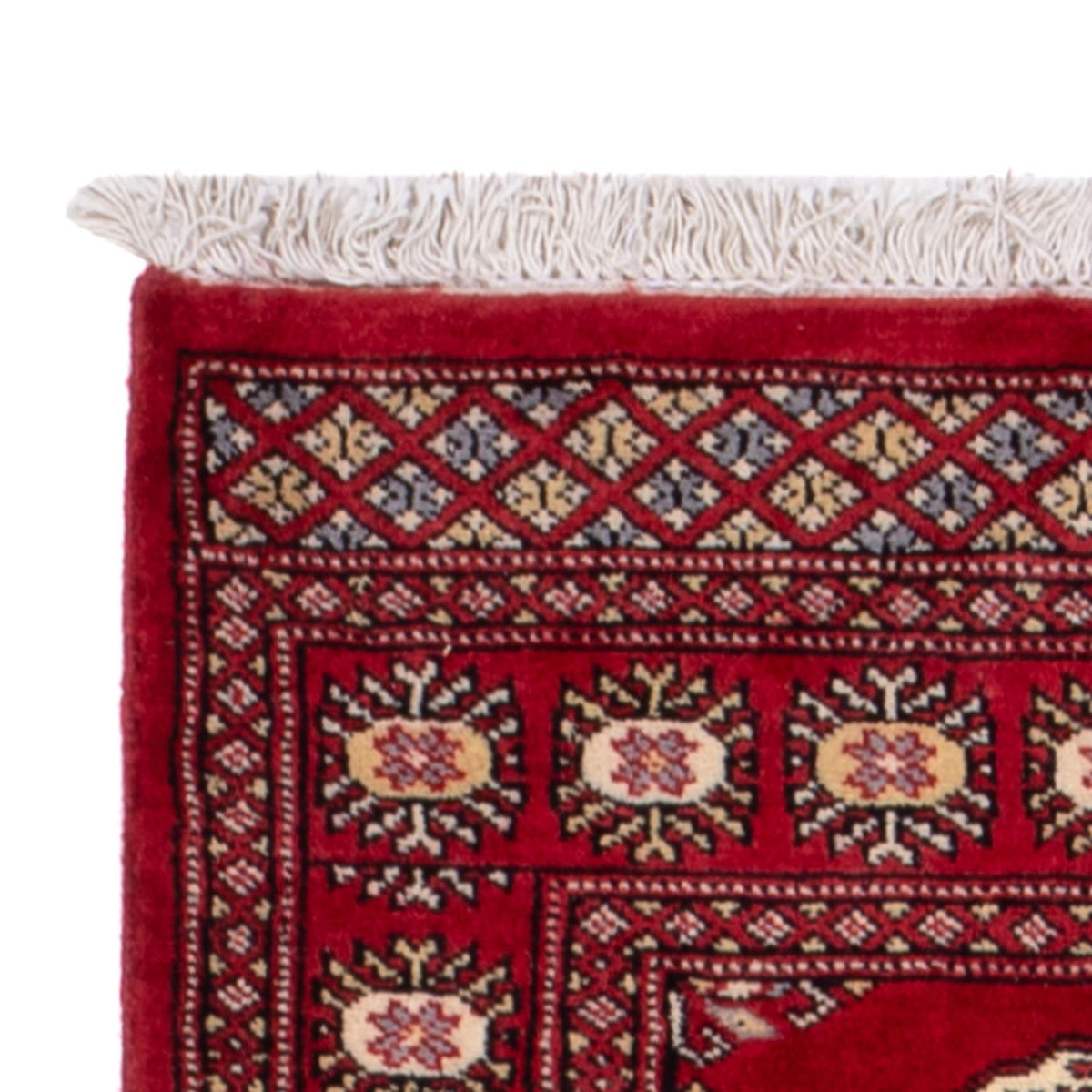 Pakistani Rug 77x246cm - Oriental Rug
