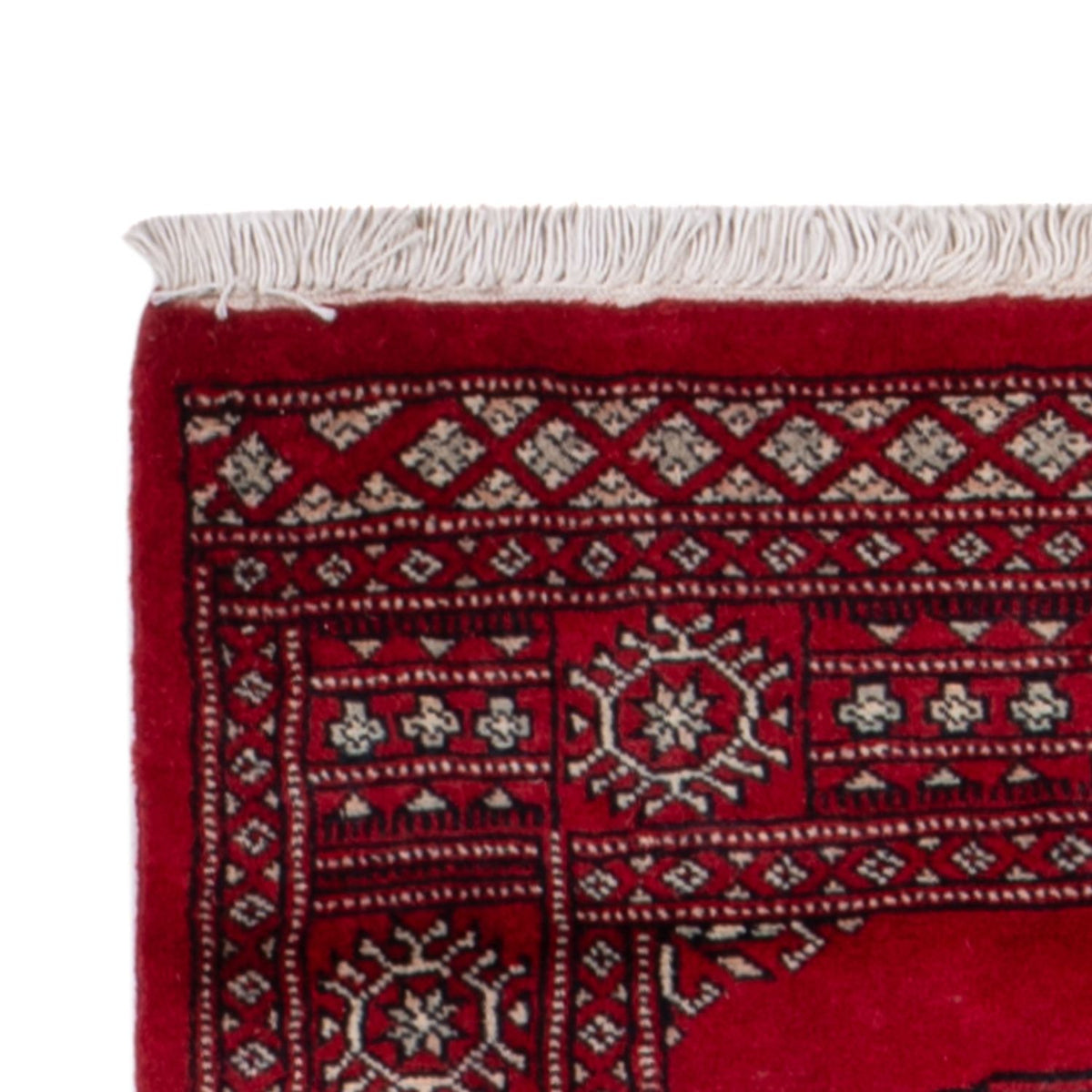Pakistani Rug 75x257cm - Oriental Rug