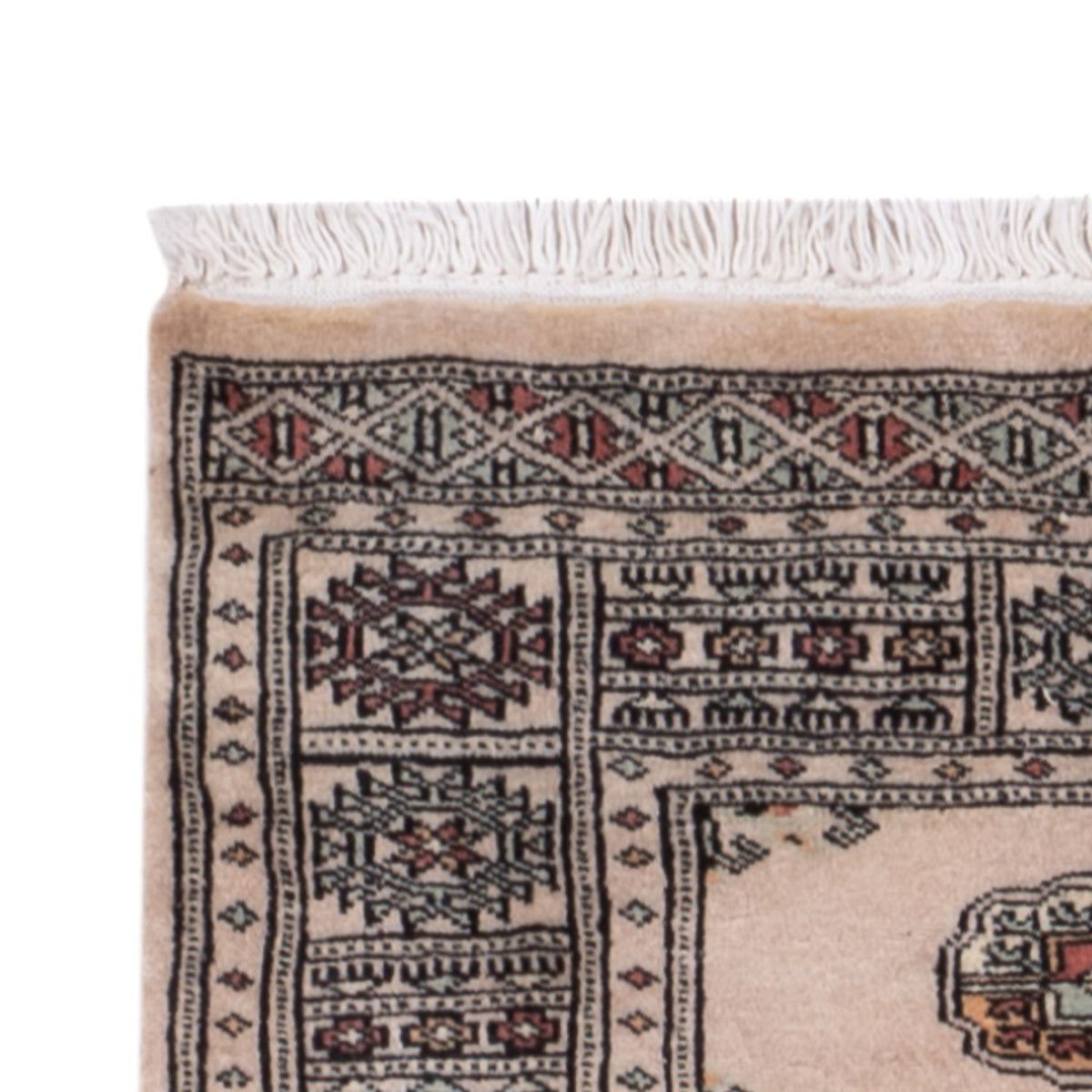 Pakistani Rug 77x237cm - Oriental Rug