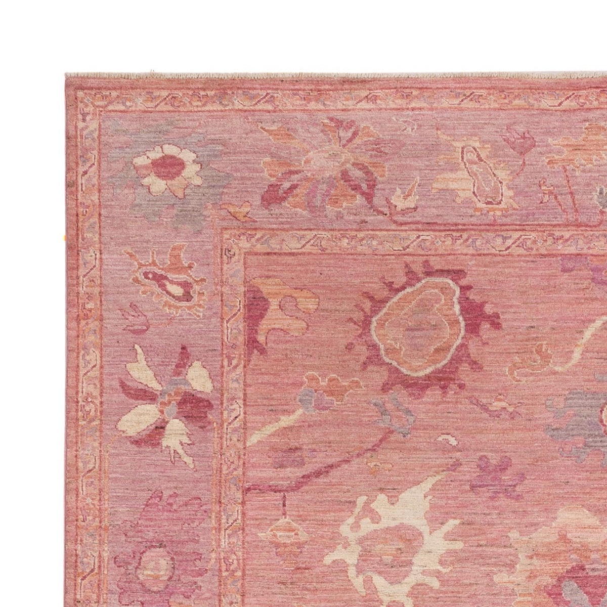 Ushak Rug 239x293cm - Oriental Rug