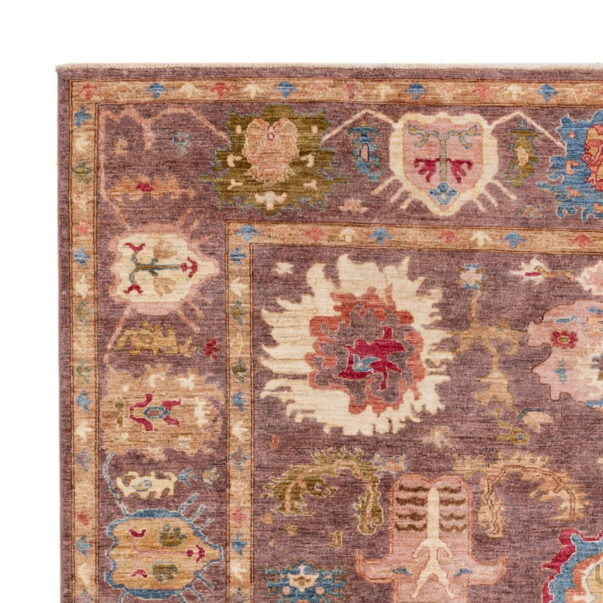 Ziegler Rug - Usak - 288 x 253 cm - dark beige