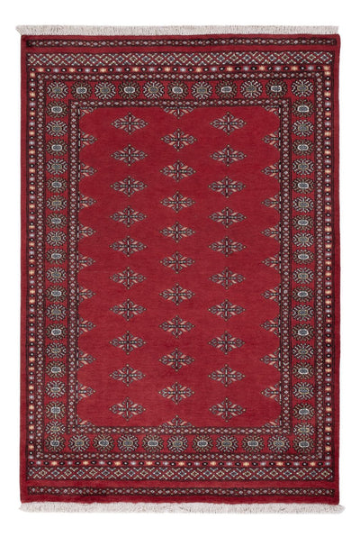 Pakistani Rug 137x203cm - Oriental Rug
