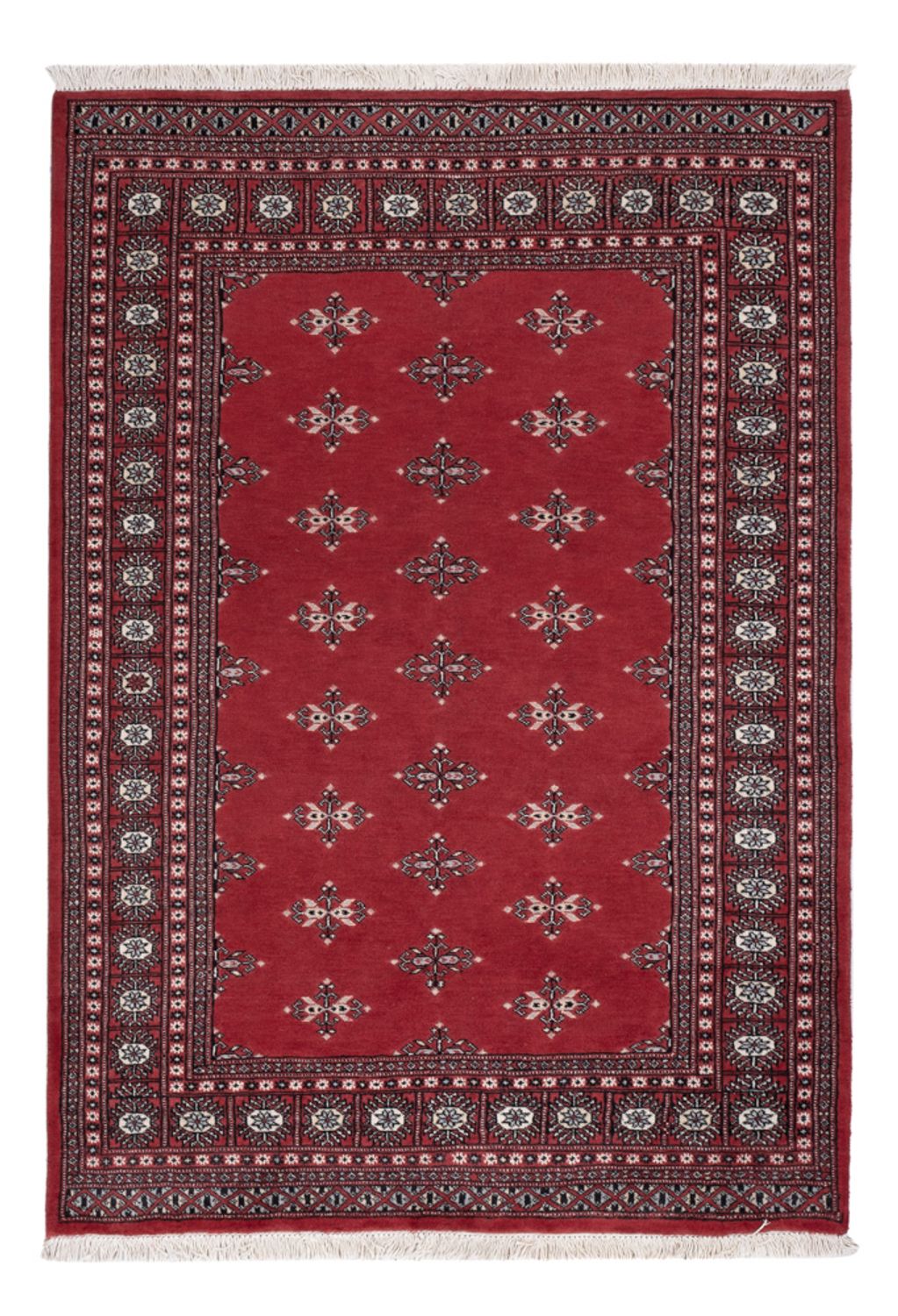 Pakistani Rug - 199 x 140 cm - red