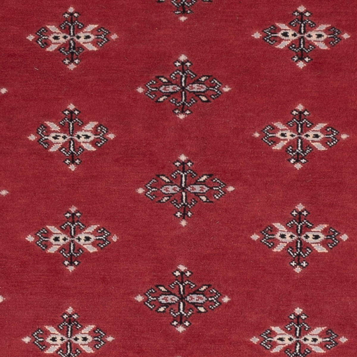 Pakistani Rug - 199 x 140 cm - red