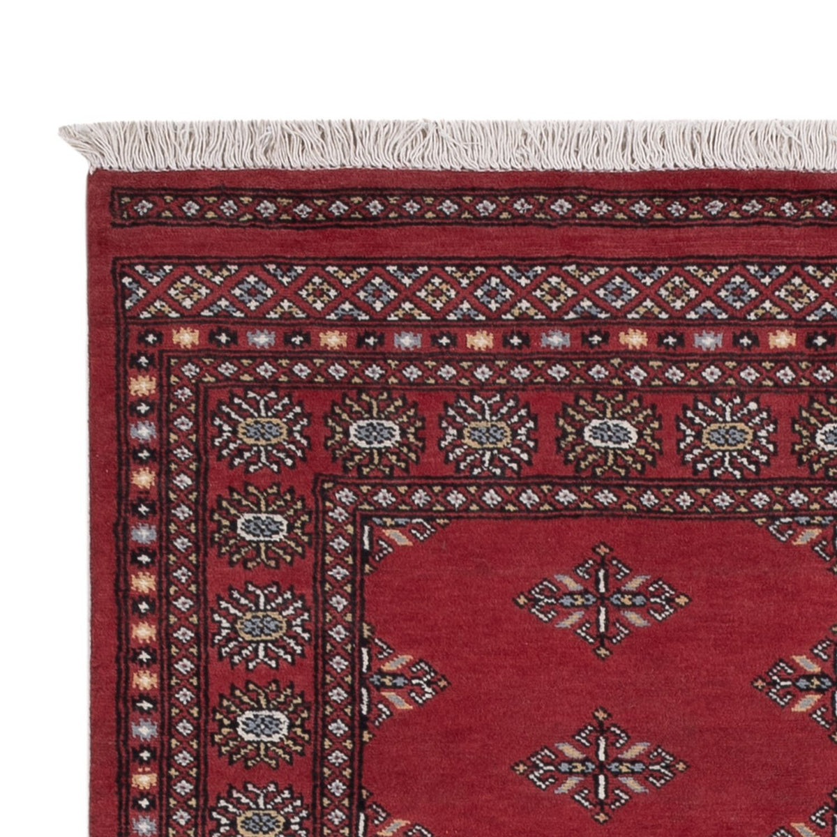 Pakistani Rug 137x215cm - Oriental Rug