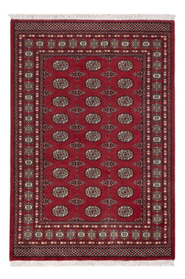 Pakistani Rug - 204 x 139 cm - red