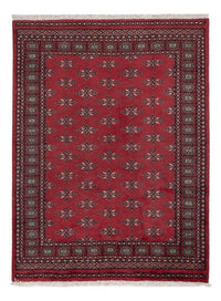 Pakistani Rug - 183 x 140 cm - red