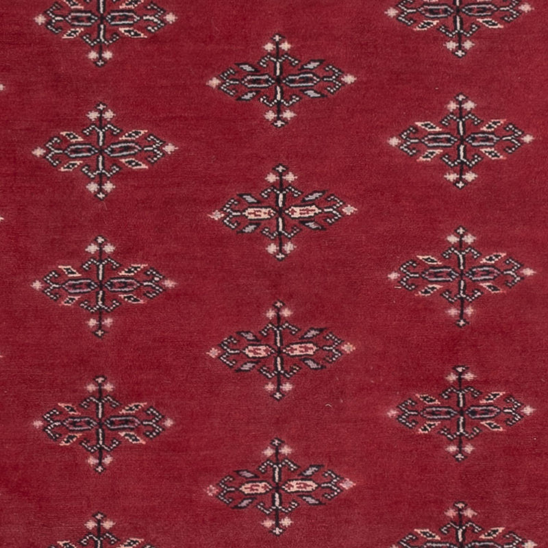 Pakistani Rug - 195 x 140 cm - red