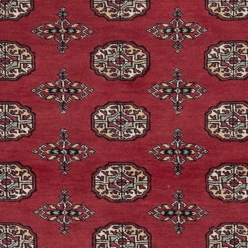 Pakistani Rug - 199 x 140 cm - red
